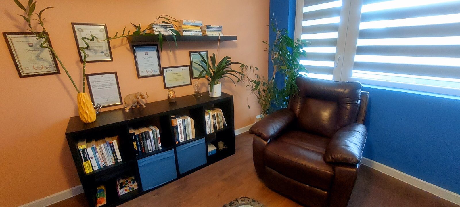 Психотерапевтично Консултиране